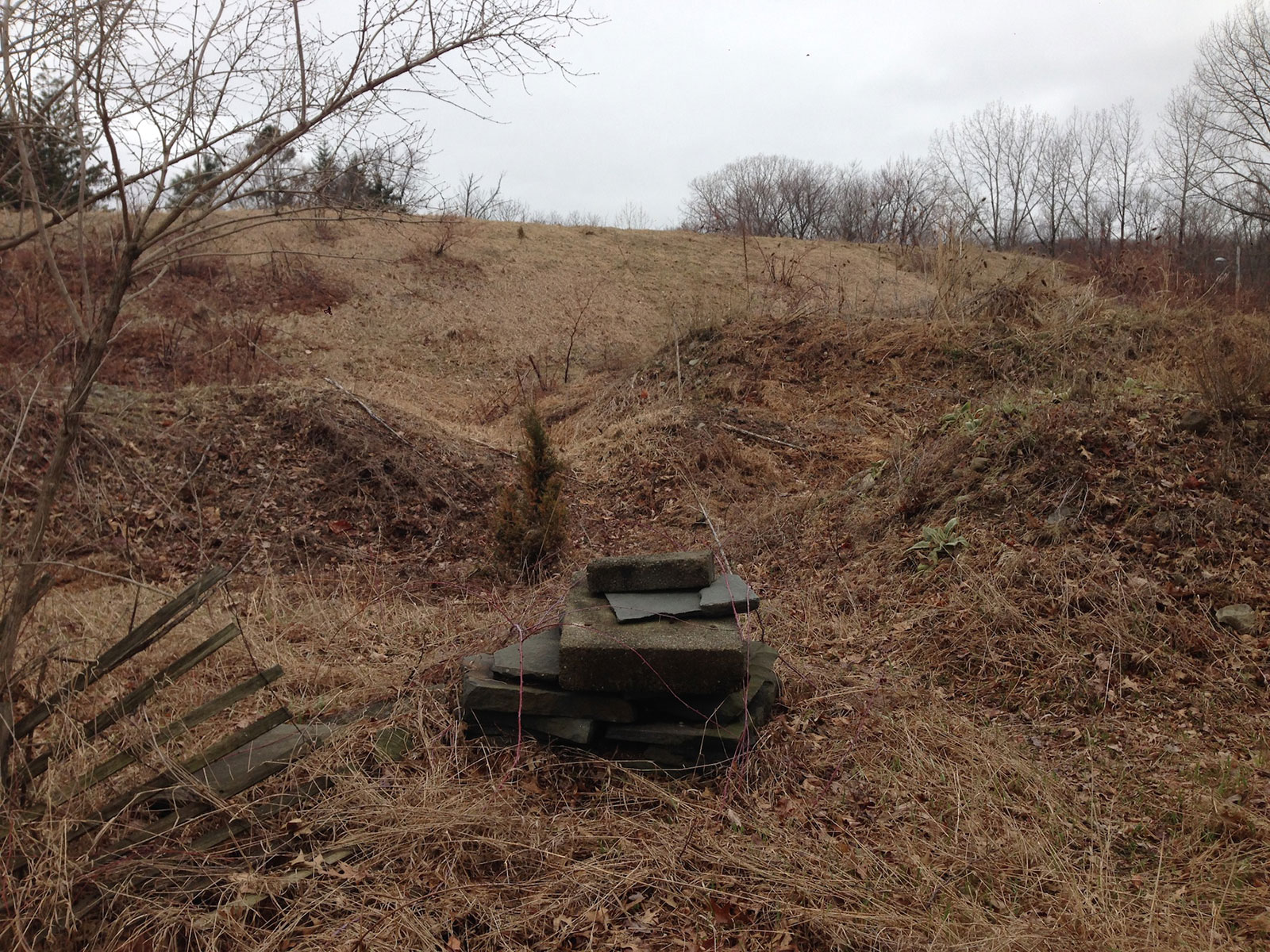 A Tour of the Monuments of Storm King Art Center by Allyson Vieira